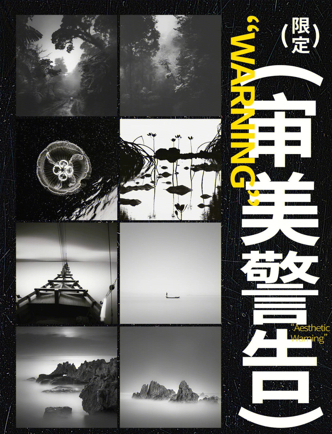 gogo全球专业高清摄影探索全球摄影的无限可能——gogo全球专业高清摄影之旅-第3张图片