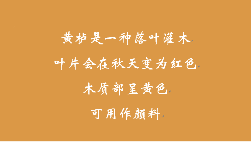 探索色中色的神秘地址