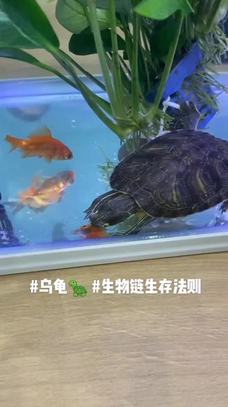 被C到起不来的奇妙体验