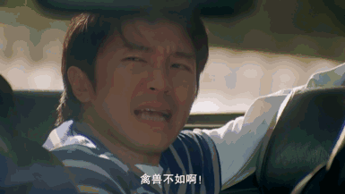 日本黄色动态的误解与真相